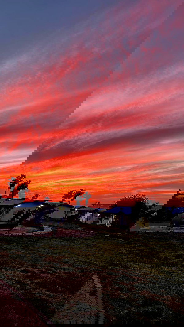 yeela__ yeela__ archive image