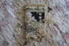 teakitten_ Altpins Profile Picture