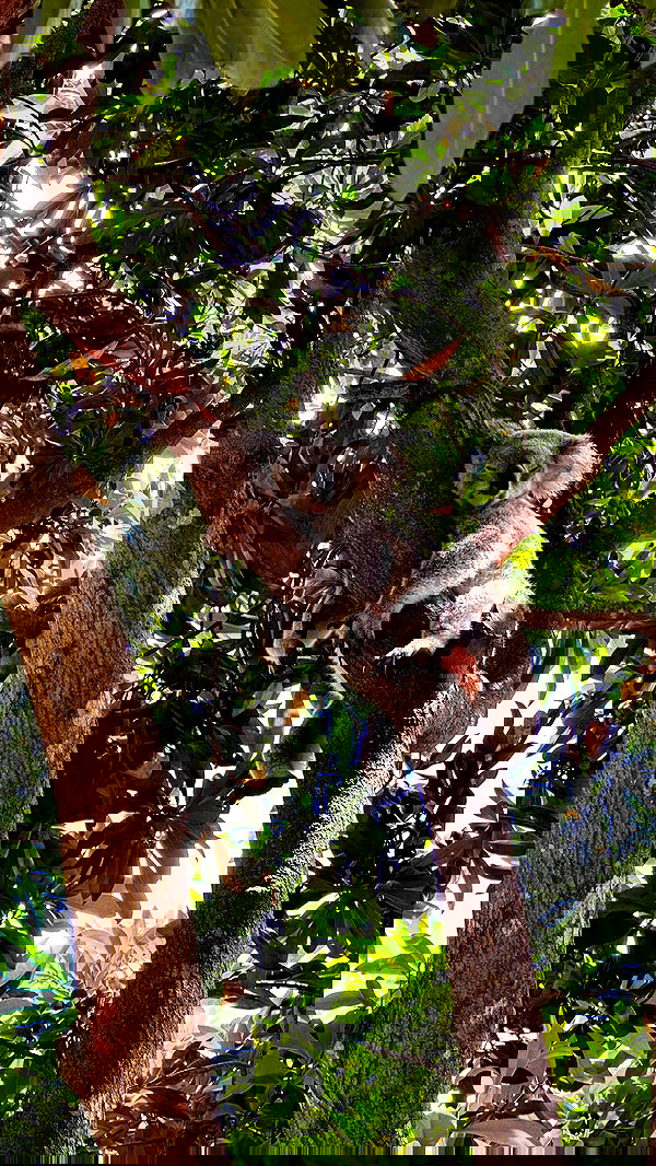 taylor.creeden taylor.creeden archive image