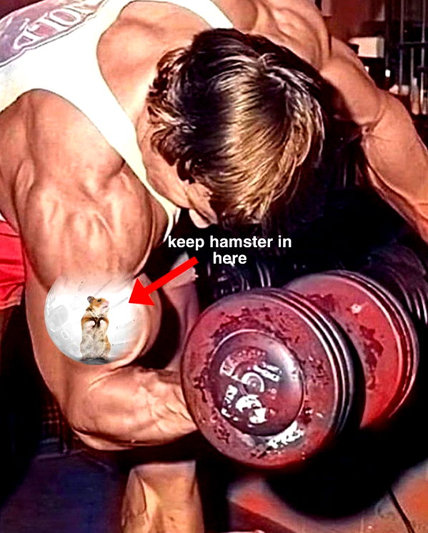 leanbeefpatty instagram image archive image