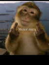 yeraofficial_ Altpins Profile Picture