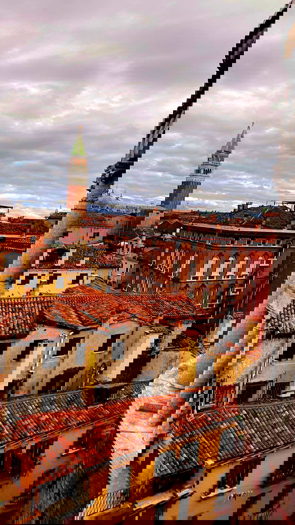 taylor.creeden taylor.creeden archive image