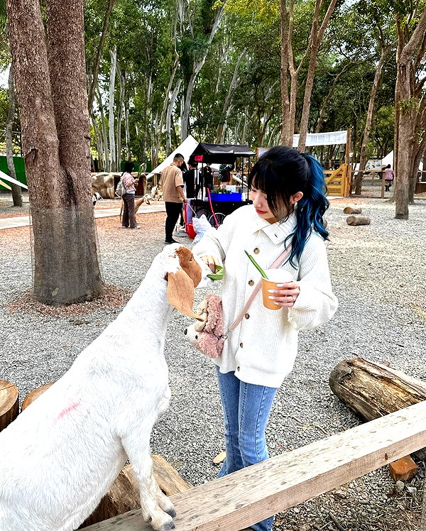 ____sy.02 instagram image archive image