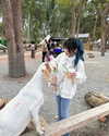 ____sy.02 Altpins Profile Picture