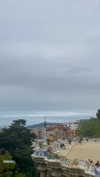 federica.piccinni Altpins Profile Picture