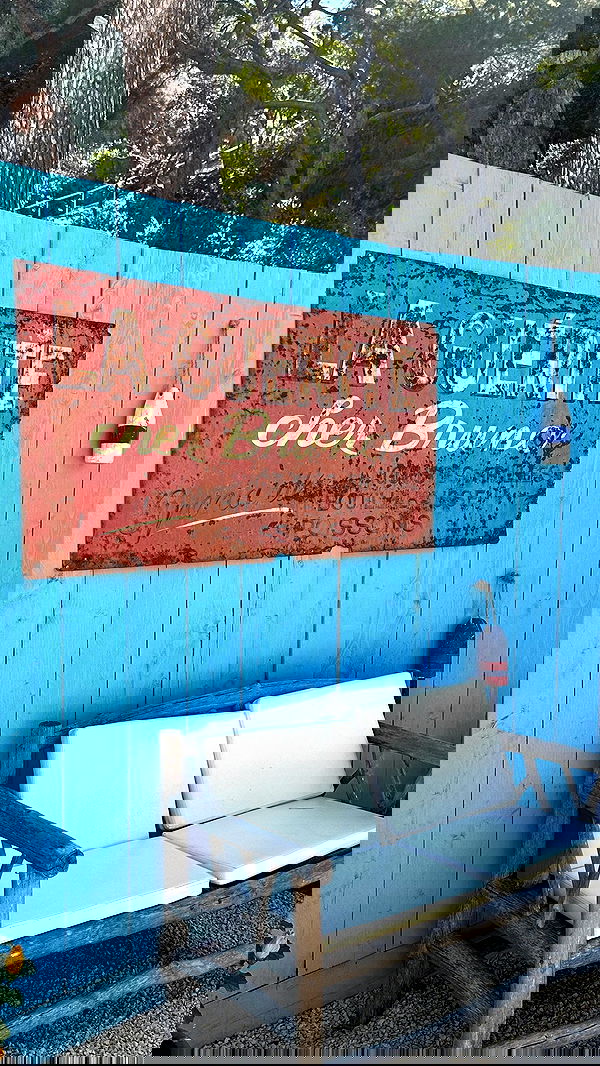 taylor.creeden taylor.creeden archive image