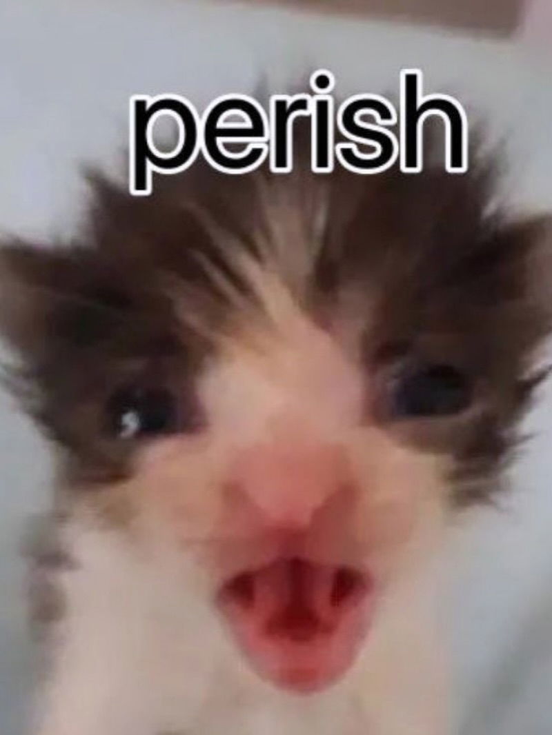 iamm3dusa instagram image archive image