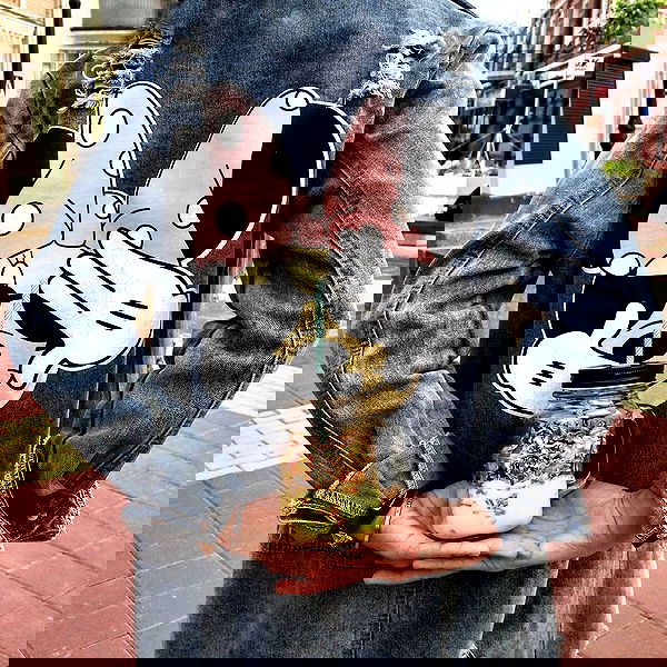 kkulakovaa image ~ Altpins