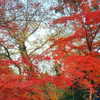 muze Altpins Profile Picture