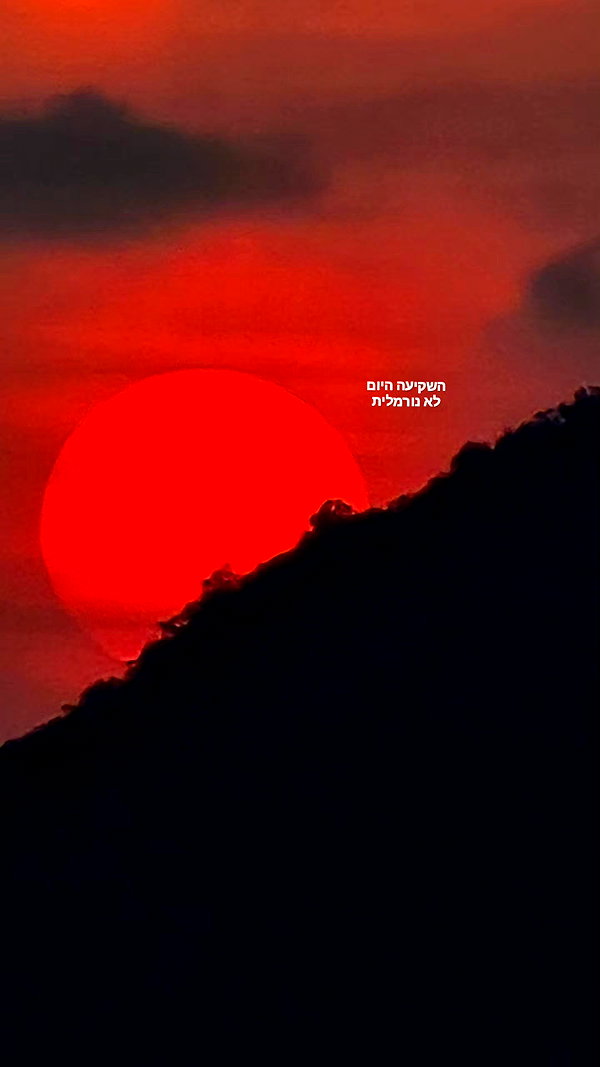 barzomer instagram image archive image