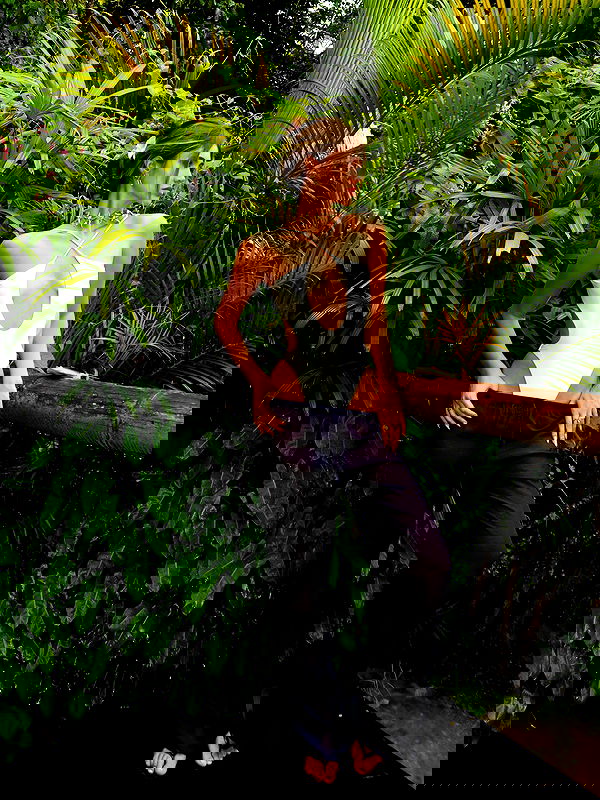 taylor.creeden taylor.creeden archive image