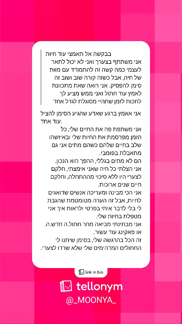 moonyyyya moonyyyya archive image