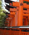 biton__adi Altpins Profile Picture