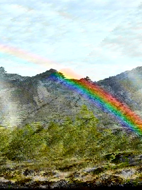 taylor.creeden taylor.creeden archive image