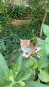 yasminhilde_ Altpins Profile Picture