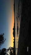 _kayleewray_ Altpins Profile Picture