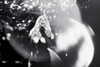 xtina Altpins Profile Picture