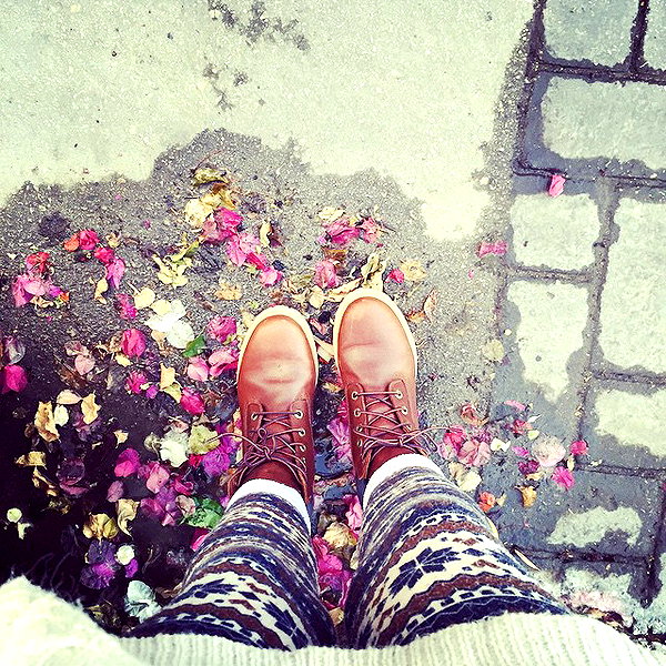 adihimelbloy instagram image archive image