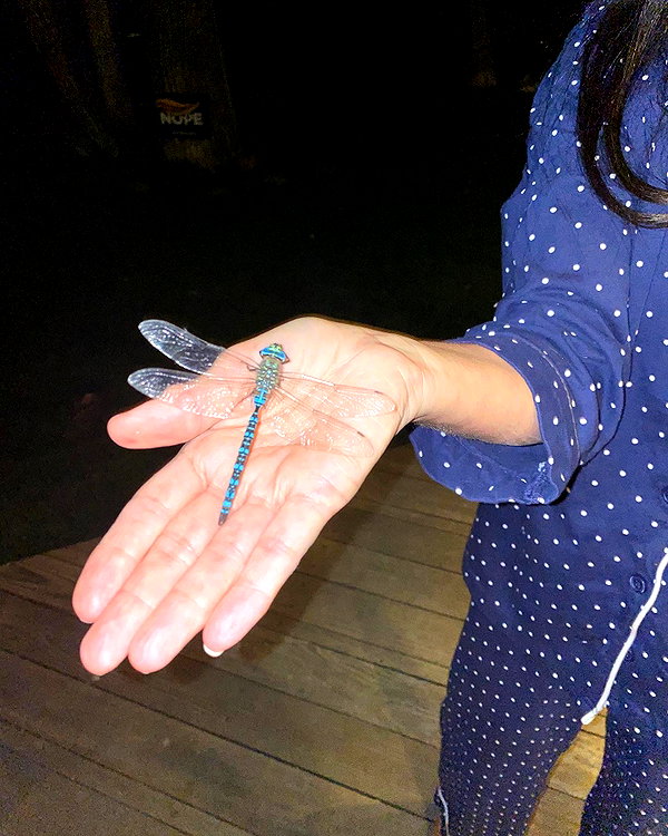 demimoore instagram image archive image
