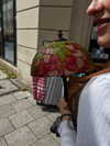 anesa.zm Altpins Profile Picture