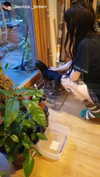 jahia_brown Altpins Profile Picture