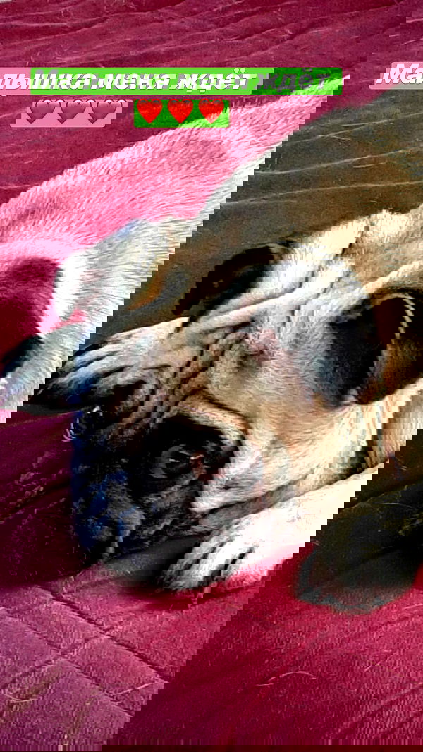 nyityam nyityam archive image