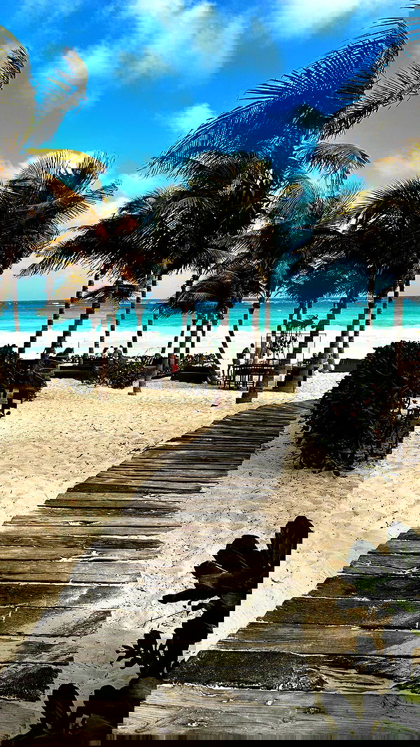 taylor.creeden taylor.creeden archive image