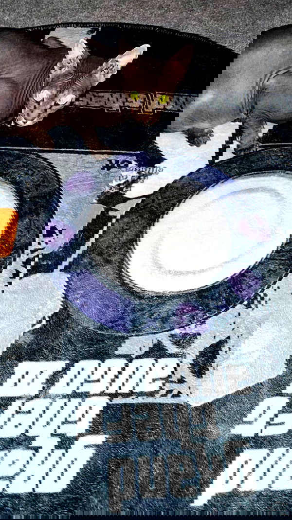 zommmbri zommmbri archive image