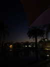 ariannachiaravalle_ Altpins Profile Picture