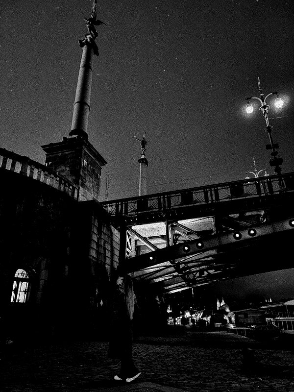 nikolpeleg instagram image archive image