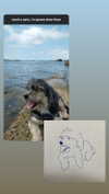 iljfgigi Altpins Profile Picture