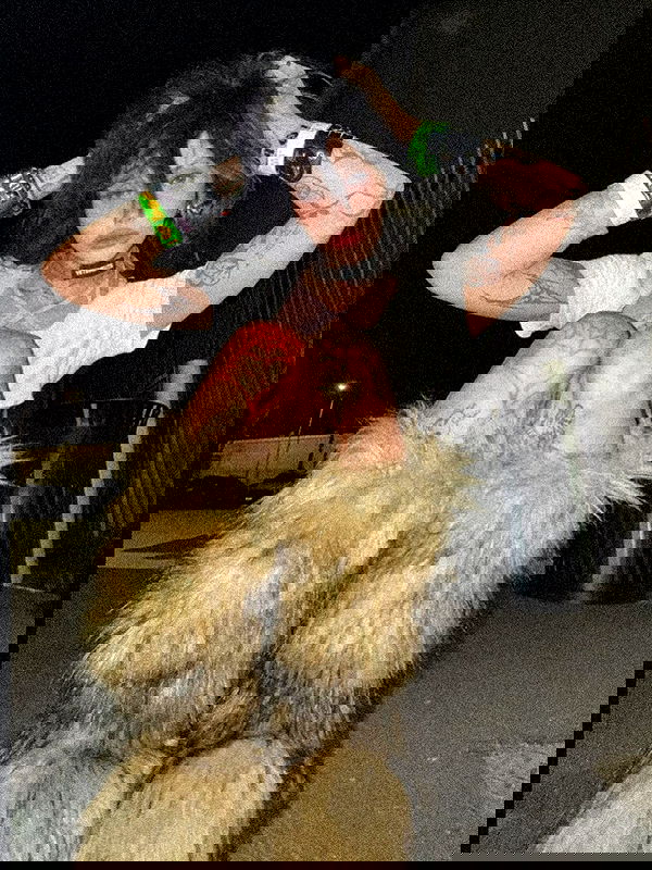 zommmbri zommmbri archive image