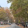 kafelnikova_a Altpins Profile Picture