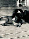 hadas_mayer_ Altpins Profile Picture