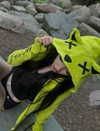 aleksaoaa Altpins Profile Picture