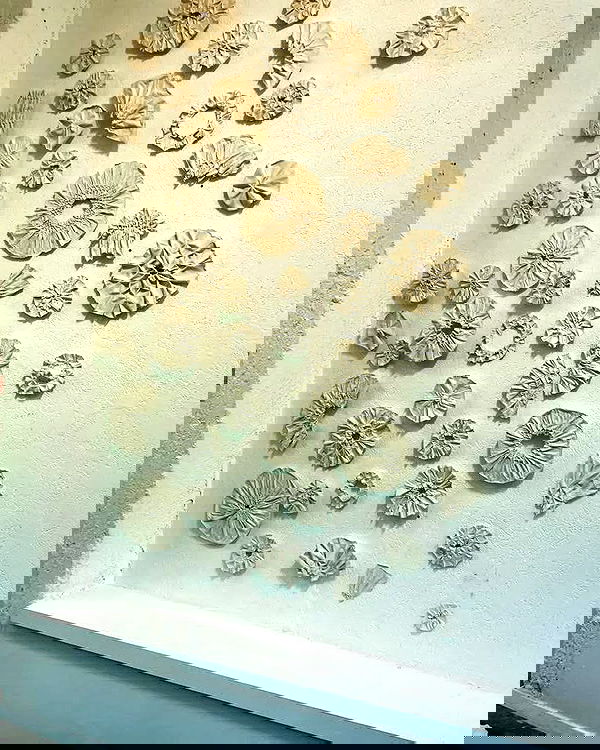 noa_zemlyanski noa_zemlyanski archive image