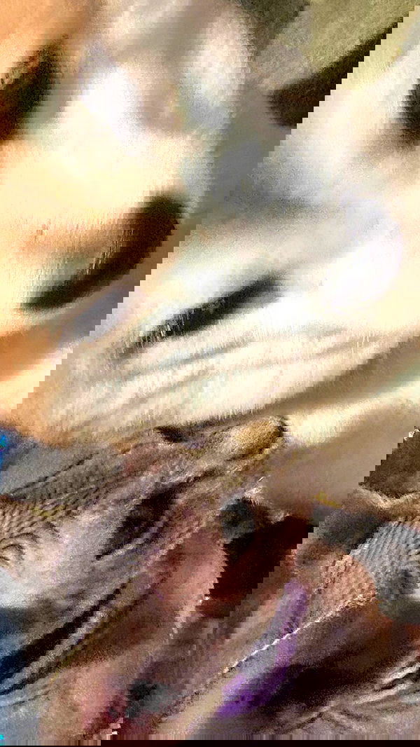 zommmbri zommmbri archive image