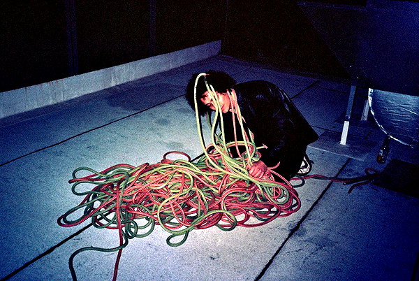 bugz4brainz instagram image archive image