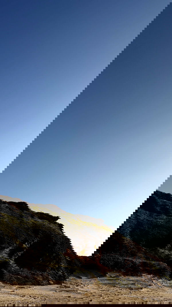 efrat_elmalich efrat_elmalich archive image