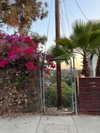 cialikechia Altpins Profile Picture