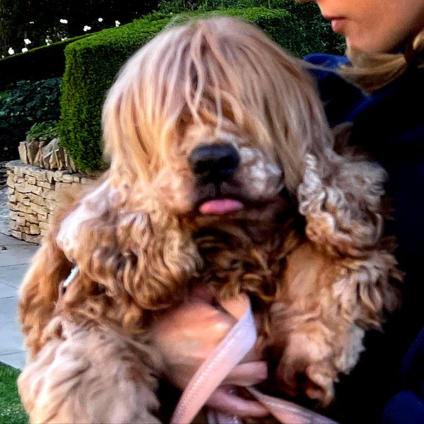 haileypandolfi instagram image archive image
