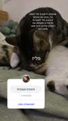 lila.garnik Altpins Profile Picture