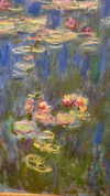 ayguldavlletova Altpins Profile Picture