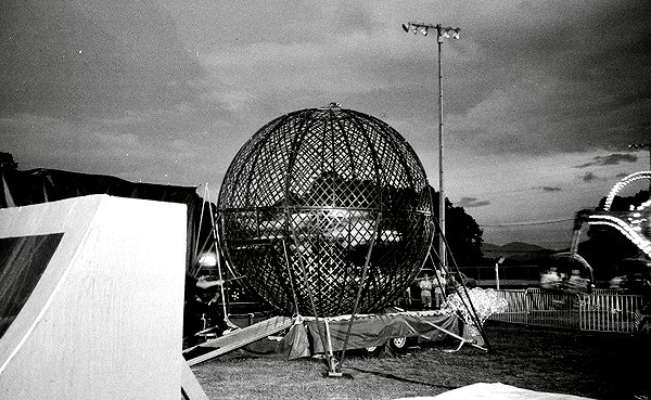 bugz4brainz instagram image archive image