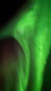 lishai_halevi Altpins Profile Picture