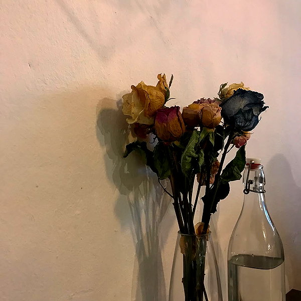 daxbin instagram image archive image