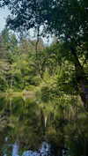 livknock Altpins Profile Picture