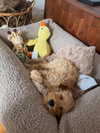 sophiecharlotth Altpins Profile Picture