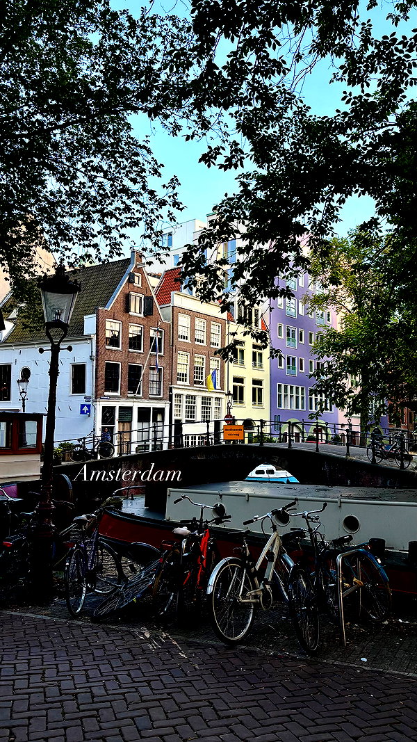 mollieruck instagram image archive image