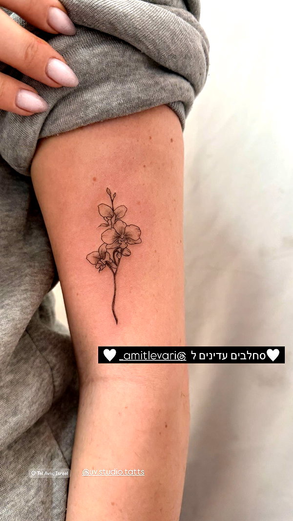 Archived image from @mika_franco_tattoos on Instagram